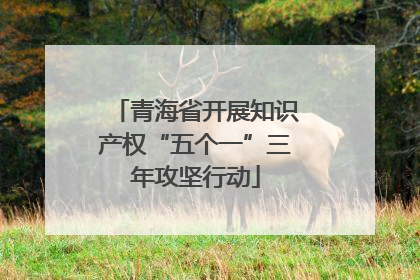 青海省开展知识产权“五个一”三年攻坚行动