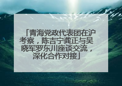 青海党政代表团在沪考察，陈吉宁龚正与吴晓军罗东川座谈交流，深化合作对接