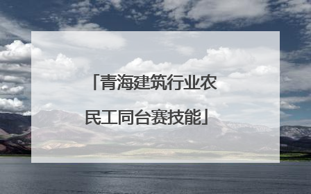 青海建筑行业农民工同台赛技能