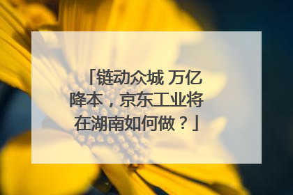 链动众城 万亿降本，京东工业将在湖南如何做？