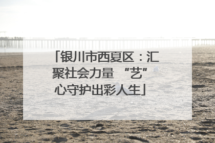 银川市西夏区：汇聚社会力量 “艺”心守护出彩人生