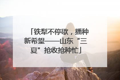 铁犁不停歇，播种新希望——山东“三夏”抢收抢种忙