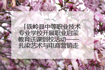 铁岭县中等职业技术专业学校开展职业启蒙教育送课到校活动——扎染艺术与电商营销走进熊官屯镇中心小学
