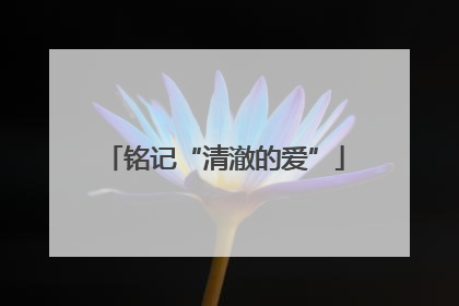 铭记“清澈的爱”