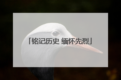铭记历史 缅怀先烈