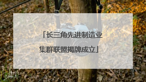 长三角先进制造业集群联盟揭牌成立