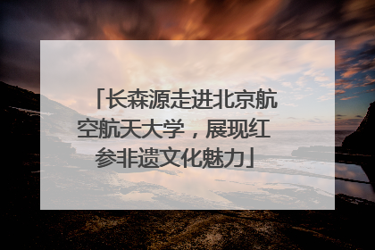 长森源走进北京航空航天大学，展现红参非遗文化魅力