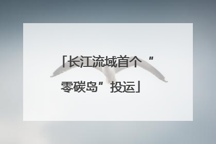 长江流域首个“零碳岛”投运
