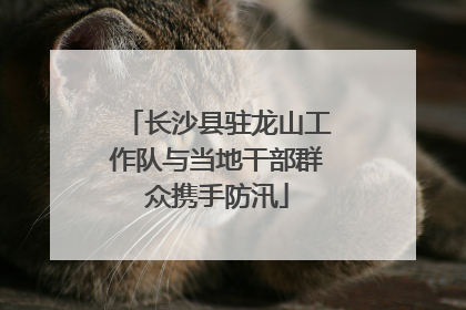 长沙县驻龙山工作队与当地干部群众携手防汛