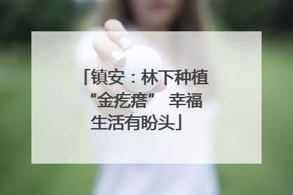 镇安：林下种植“金疙瘩” 幸福生活有盼头