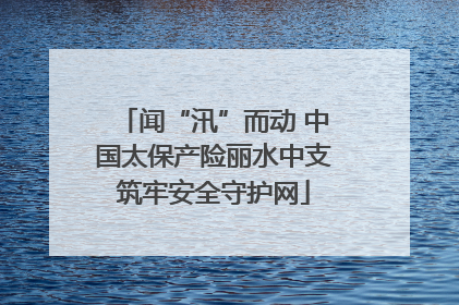闻“汛”而动 中国太保产险丽水中支筑牢安全守护网