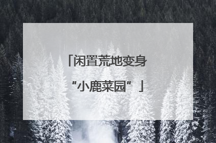 闲置荒地变身“小鹿菜园”