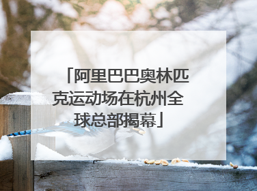 阿里巴巴奥林匹克运动场在杭州全球总部揭幕