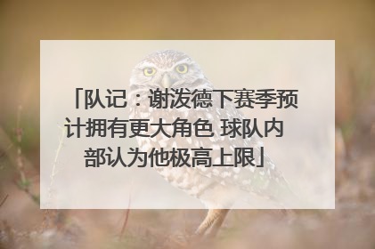 队记：谢泼德下赛季预计拥有更大角色 球队内部认为他极高上限