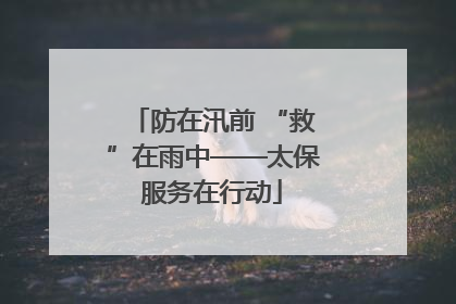 防在汛前 “救”在雨中——太保服务在行动