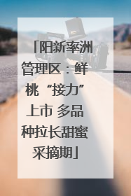 阳新率洲管理区：鲜桃“接力”上市 多品种拉长甜蜜采摘期