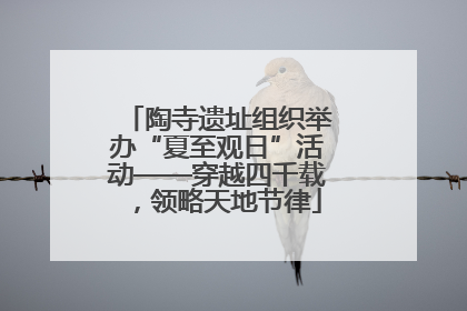 陶寺遗址组织举办“夏至观日”活动——穿越四千载，领略天地节律