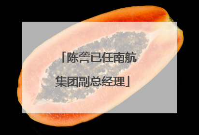 陈詟已任南航集团副总经理