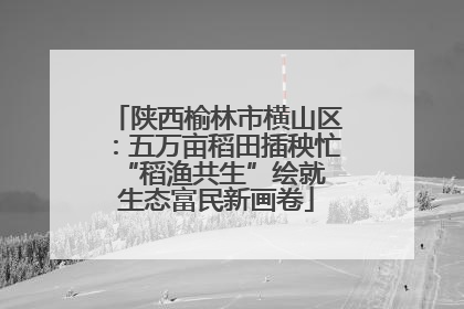 陕西榆林市横山区：五万亩稻田插秧忙 “稻渔共生”绘就生态富民新画卷