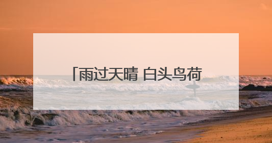 雨过天晴 白头鸟荷花池里找美食｜图集