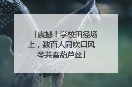 震撼！学校田径场上，数百人同吹口风琴共奏葫芦丝