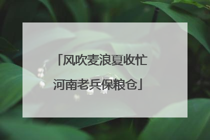 风吹麦浪夏收忙 河南老兵保粮仓