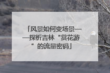 风景如何变场景——探析吉林“赏花游”的流量密码