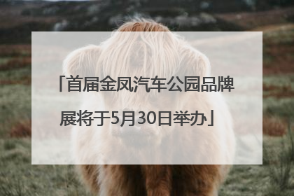 首届金凤汽车公园品牌展将于5月30日举办