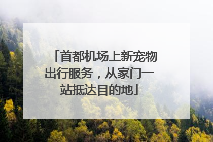 首都机场上新宠物出行服务，从家门一站抵达目的地