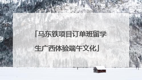 马东铁项目订单班留学生广西体验端午文化