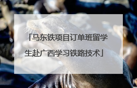 马东铁项目订单班留学生赴广西学习铁路技术