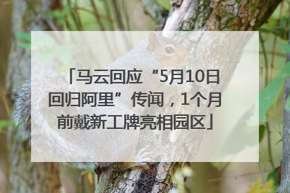 马云回应“5月10日回归阿里”传闻，1个月前戴新工牌亮相园区
