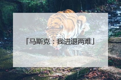 马斯克：我进退两难