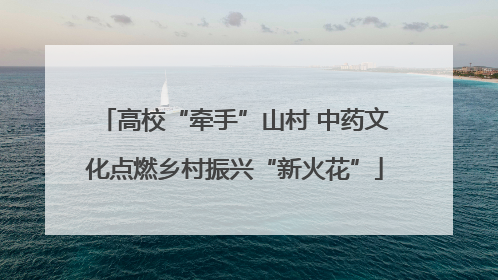 高校“牵手”山村 中药文化点燃乡村振兴“新火花”