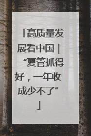 高质量发展看中国｜“夏管抓得好，一年收成少不了”