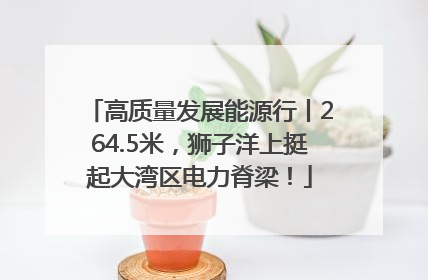 高质量发展能源行丨264.5米，狮子洋上挺起大湾区电力脊梁！