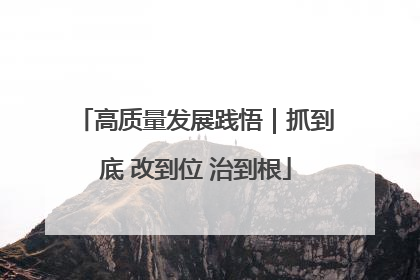 高质量发展践悟｜抓到底 改到位 治到根