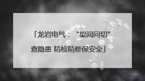 龙岩电气：“望闻问切”查隐患 精检精修保安全