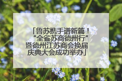 鲁苏携手谱新篇！“全省苏商德州行”暨德州江苏商会换届庆典大会成功举办