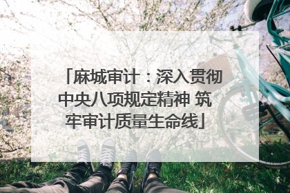 麻城审计：深入贯彻中央八项规定精神 筑牢审计质量生命线