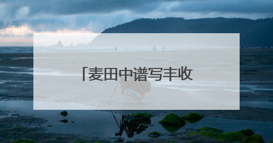麦田中谱写丰收曲 潍坊滨海区夏收工作圆满完成