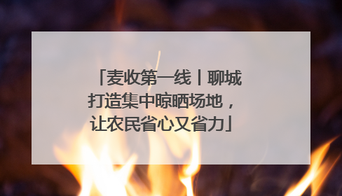 麦收第一线丨聊城打造集中晾晒场地，让农民省心又省力