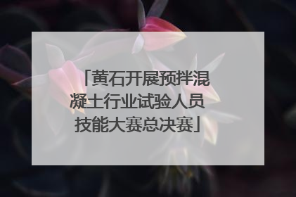 黄石开展预拌混凝土行业试验人员技能大赛总决赛