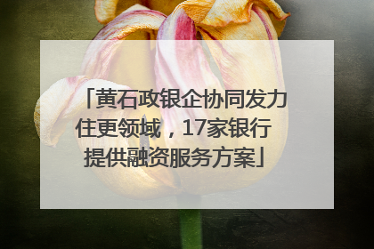 黄石政银企协同发力住更领域，17家银行提供融资服务方案