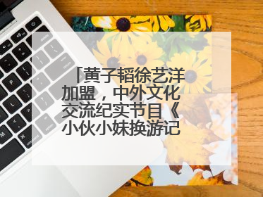 黄子韬徐艺洋加盟，中外文化交流纪实节目《小伙小妹换游记》六月上线