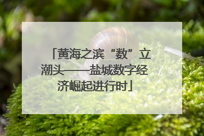 黄海之滨“数”立潮头——盐城数字经济崛起进行时