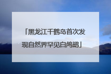 黑龙江千鹤岛首次发现自然界罕见白鸬鹚