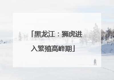 黑龙江：狮虎进入繁殖高峰期