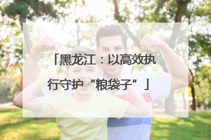 黑龙江：以高效执行守护“粮袋子”