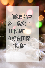 黟县宏潭乡：落实“田长制” 守好良田保“粮仓”